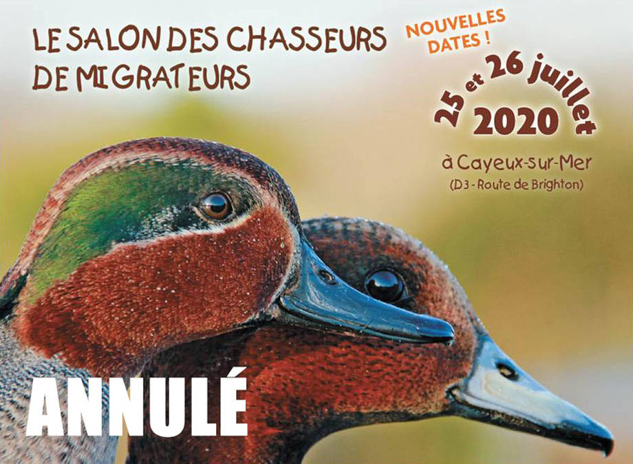 salon migrateurs 2020 annulé