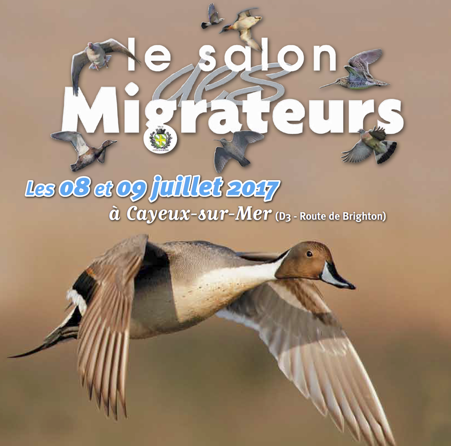 affiche salon migrateurs