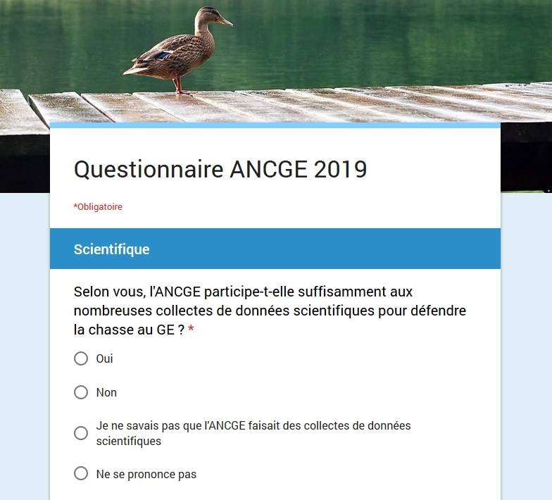 Questionnaire ANCGE 2019